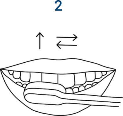 Oral hygiene routine. Icon