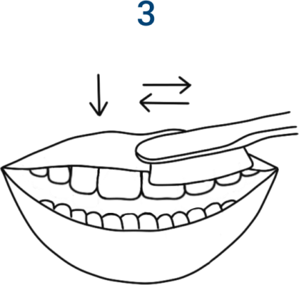 Oral hygiene routine. Icon