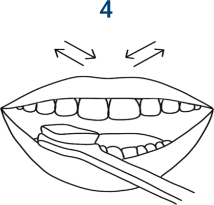 Oral hygiene routine. Icon
