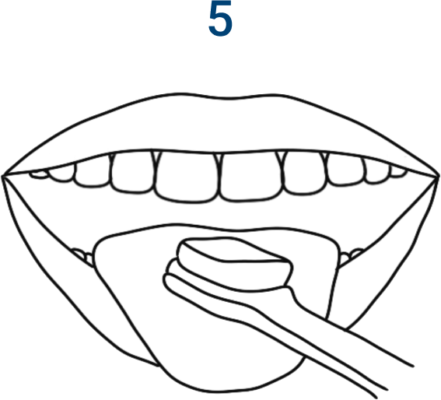 Oral hygiene routine. Icon