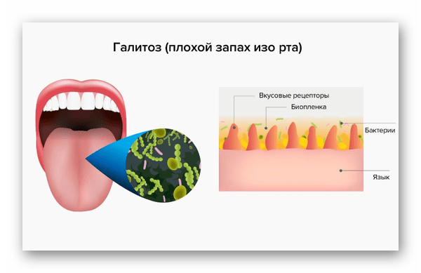 Из ануса в рот — Википедия